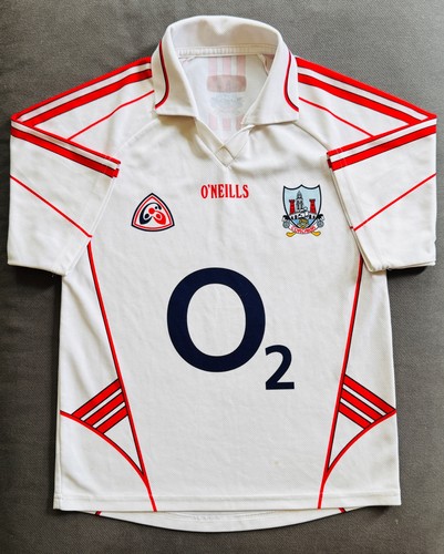 Cork gaa 2004 vintage - cork, 2004-06
